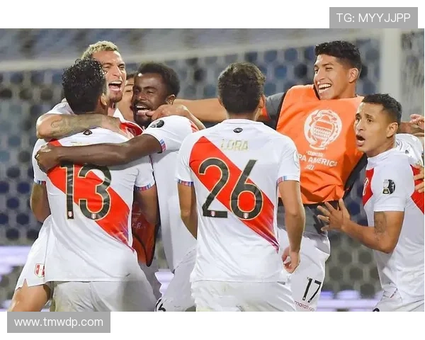 秘鲁队进攻数据