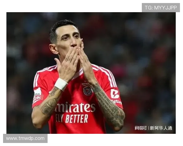 迪马利亚重返本菲卡完成生涯回归