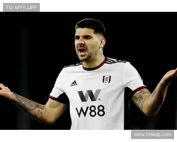 米特罗维奇生涯轨迹:从贝尔格莱德到英超的持续提升解析 米特罗维奇生涯轨迹:从贝尔格莱德到英超的持续提升解析